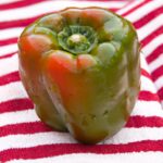 Fresh & Flavorful: Top Green Bell Pepper Recipes to Try