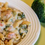 Deliciously Creamy Chicken & Broccoli Pasta Bake Recipe