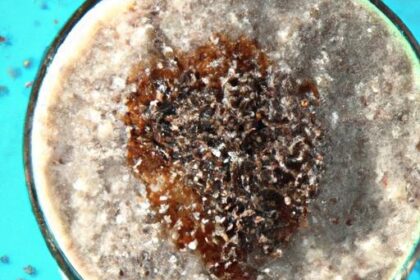 Energize Your Day: The Ultimate Guide to Chia Seed Smoothies